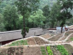-北京上方山国家森林公园