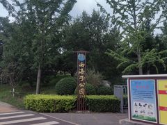 -西海子公园
