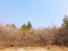-白水寺森林公园