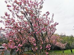 -南京市江宁方山