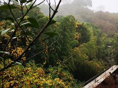 -天目湖涵田度假村