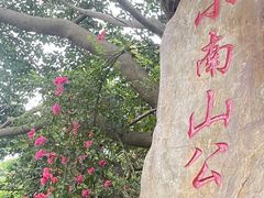 -小南山公园