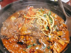 -火焰金龟甲(汉阳江滩旗舰店)