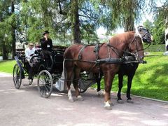 -滴血救世主教堂