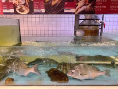 水产区-日进一片海.生腌海鲜火锅.宵夜烧烤(三里屯总店)