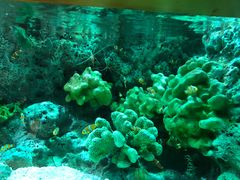 -上海海昌海洋公园