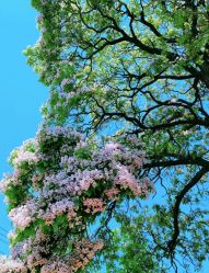 -美肤盾祛痘·问题肌头疗管理中心