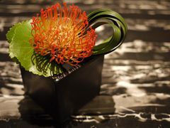 -LONG BAR 廊吧(外滩华尔道夫酒店)