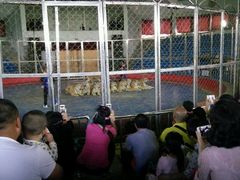 -西安秦岭野生动物园