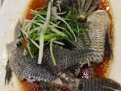 清蒸深海石斑-百乐门喜宴(海珠广场华厦店)