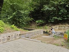 -白水寺森林公园
