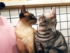 -有何Book(六堰体育馆店)