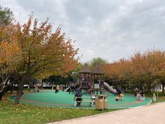 -唐城墙遗址公园