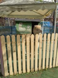 -萌宠亲子动物乐园(槐房万达店)