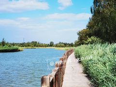 -野鸭湖国家湿地公园