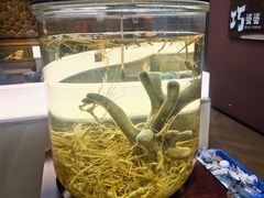 -巧婆婆特色东北菜·铁锅炖