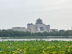 -莲花池公园