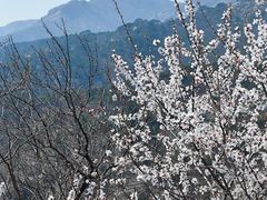 -妙峰山风景名胜区