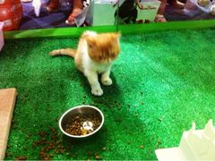 iphone_upload_pic-东浩兰生上海世博展览馆