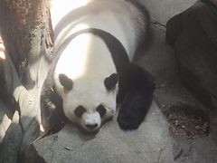 -宁波野生动物园