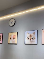 -洗脸猫·洗脸吧