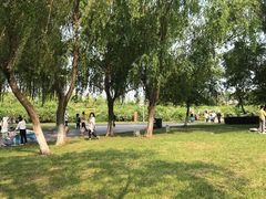 -九里河湿地公园