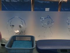 iphone_upload_pic-纳吉亚猫专科动物诊疗中心(蒋宅口分院)