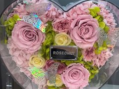 -ROSEONLY诺誓(广州K11店)