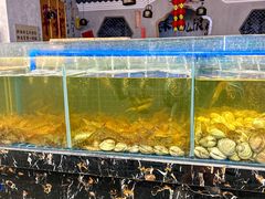 -来龍儿鲜切牛肉自助老火锅