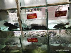 -干老四雅鱼饭店(滨江西路店)