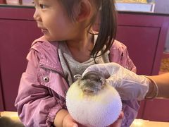-肆月河豚·新淮扬菜·烤鸭(中关村店)