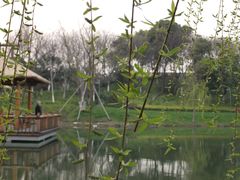 -圩墩遗址公园