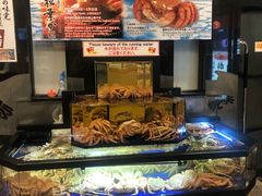 -蟹道乐(道顿堀本店)
