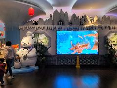 -帝企鹅自助餐厅•儿童岛•真企鹅(长隆企鹅酒店)