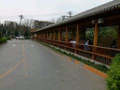 -中国中医科学院望京医院(院本部)