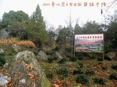 -祁门牯牛降观音堂风景区