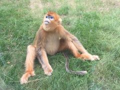 -西安秦岭野生动物园