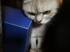 -不舍昼夜咖啡馆