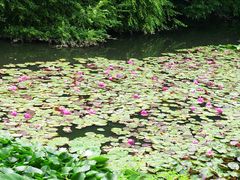 -沈阳植物园