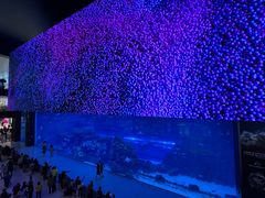 -迪拜水族馆及水下动物园