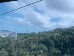 -普陀山风景区-佛顶山