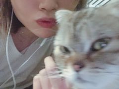 猫猫工作室-炼呗运动康复·健身工作室(紫竹桥店)