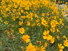 -山东大学(软件园校区)