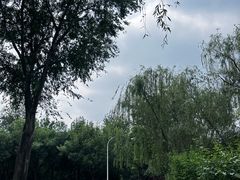 -绿堤公园