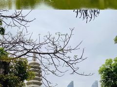 -南普陀寺