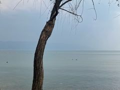 -大理洱海