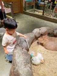 -造物庄园 萌宠纪(苏州湾歌林公园店)