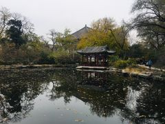 -北京大学赛克勒考古与艺术博物馆
