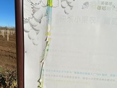 -北京张裕爱斐堡酒庄
