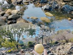 -无锡梅园公园